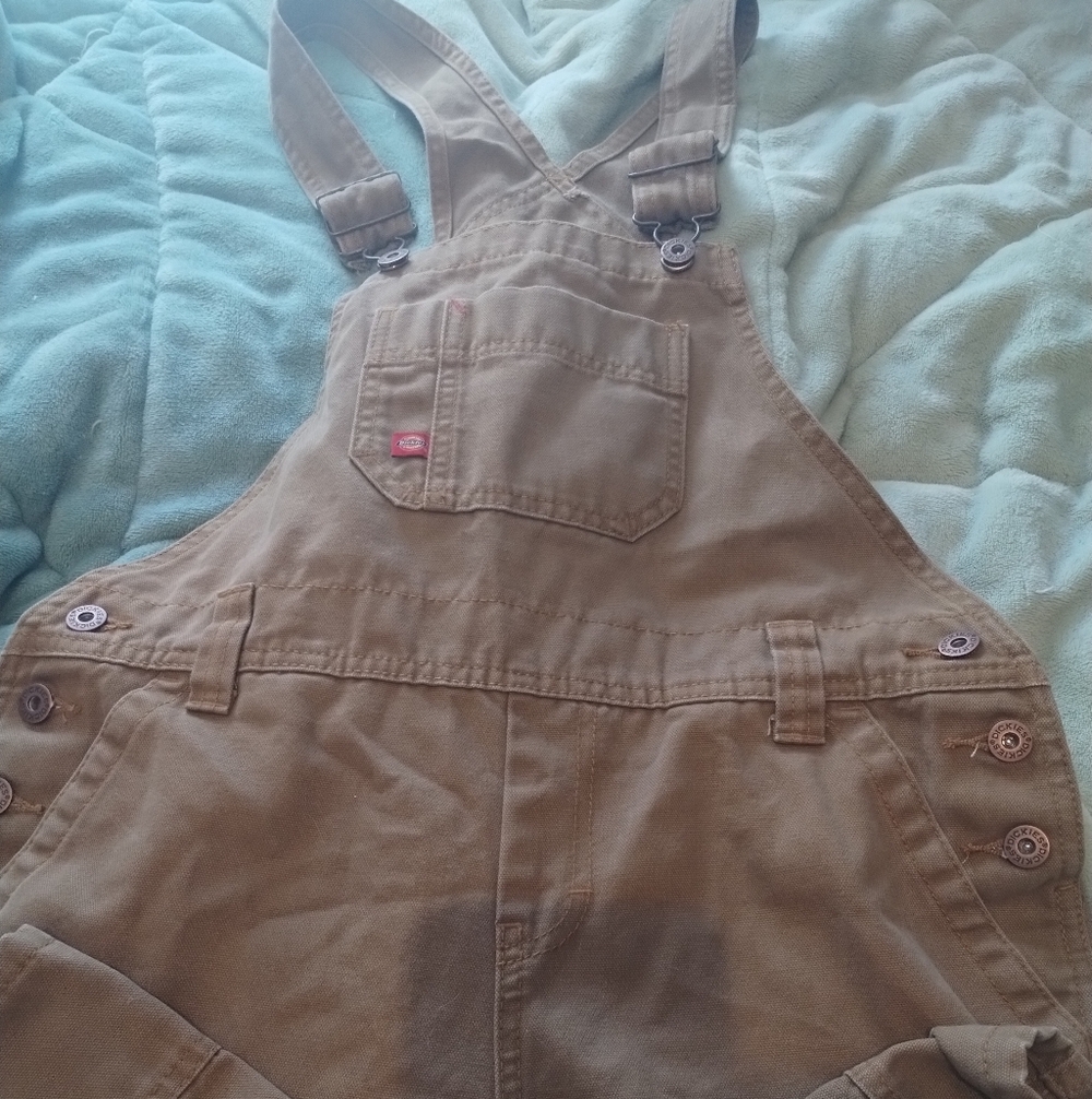 Women's Dickies Overalls